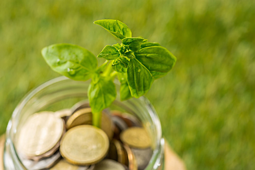 Small Business 101: Sustainability
